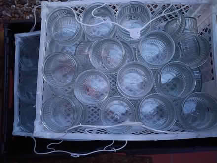 Photo of free Glass ramekins (Ipswich, IP4) #1