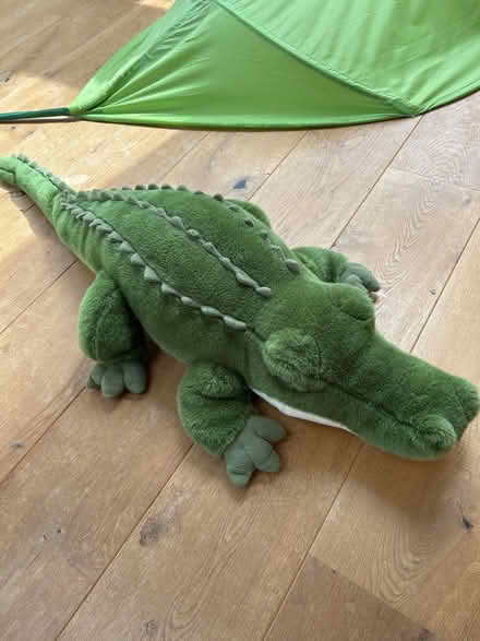 Photo of free Large toy crocodile (Caldecott OX14) #1