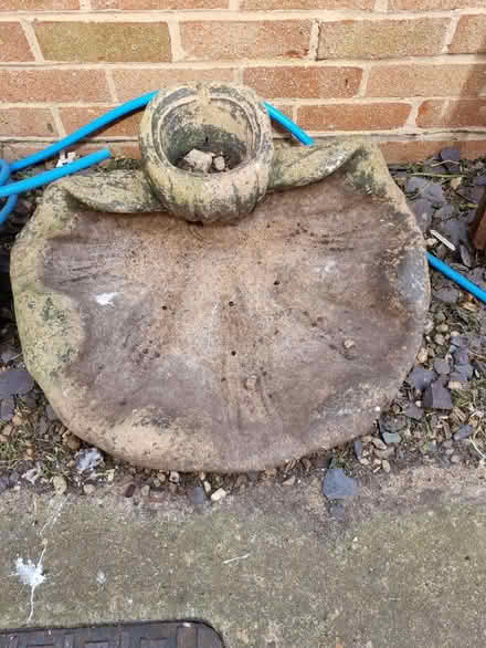 Photo of free Concrete Clam (Fiveways Brighton) #1