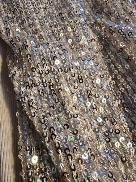 Photo of free Gold Sequined Blouse Torrid 4 (West 7th) #2