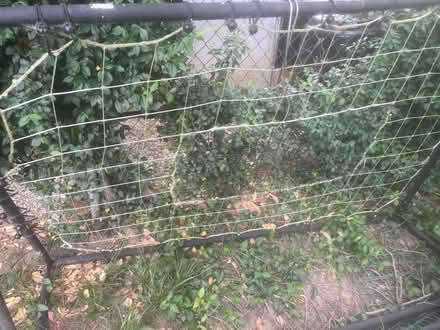 Photo of free Soccer ball rebounder (Germantown) #1