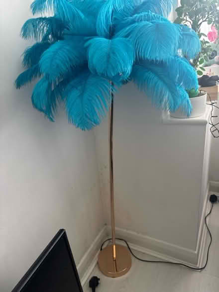 Photo of free lamp with turquoise feathers (Bexleyheath DA7) #3