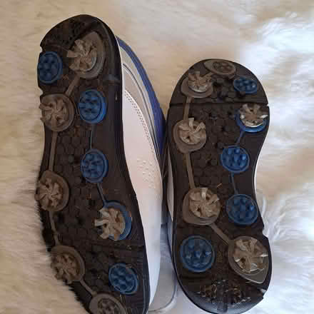 Photo of free Dunlop Ladies Golf Shoes 4.5 (Charminster BH8) #4