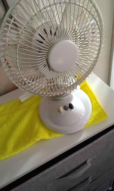 Photo of free Desktop fan (Spondon derby) #3