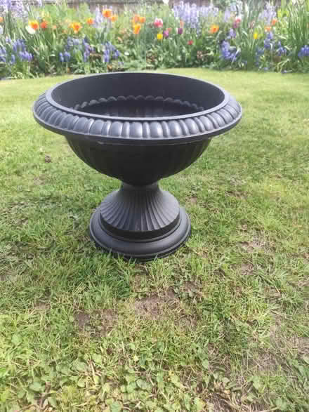 Photo of free Plant pot (Eastham CH62) #1