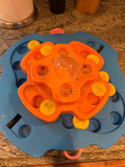 Photo of free Dog treat puzzle (Potomac) #1