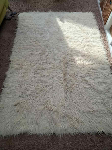 Photo of free Shaggy rug, 2mX1.4m (Hayling Island PO11) #1