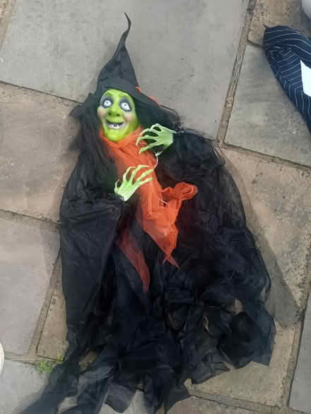 Photo of free Witch (MK42) #1