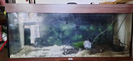 Photo of free Fish tank (WS2 beechdale) #1