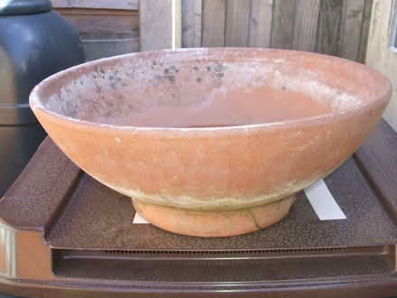 Photo of free Small Garden Pot (Molesey KT8) #2