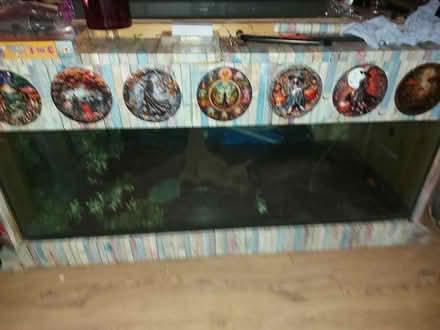 Photo of free 6ft fish tank (Redditch B98) #1
