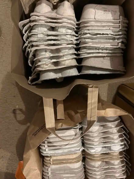 Photo of free clean paperboard egg cartons (Freedom and Drake) #1