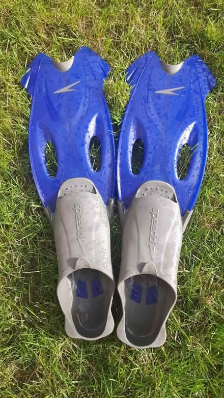 Photo of free Swimming Flippers (Ipswich IP3) #1