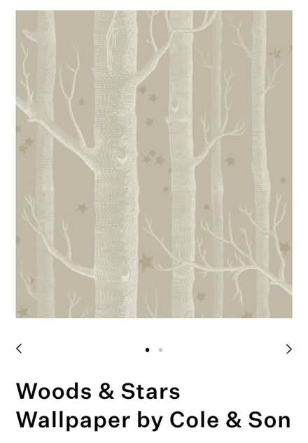 Photo of free Role of Trees & Stars Wallpaper (Haldens AL7) #2