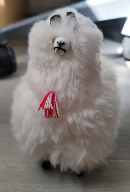 Photo of free Alpaca wool figure (Broadview/Gerrard) #2