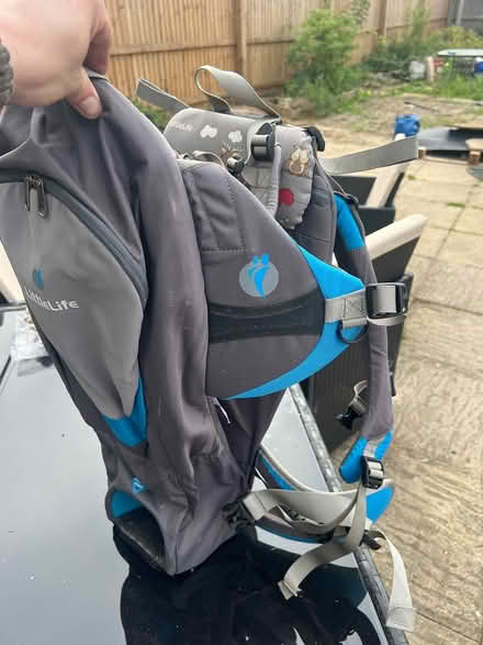 Photo of free LittleLife Baby Carrier (Swindon SN2) #2