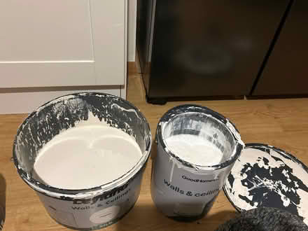 Photo of free Magnolia and white silk paint (Newfield Green S14) #2