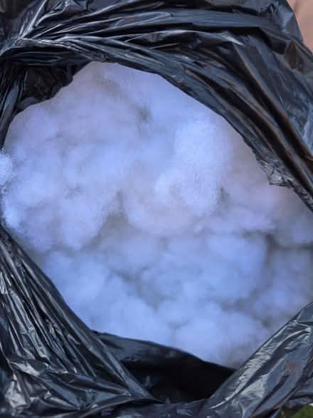 Photo of free Stuffing (Rayleigh SS6) #1