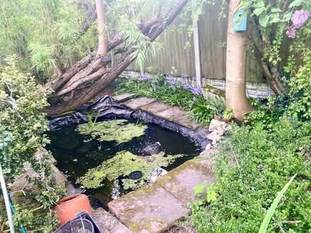 Photo of Pond Rocks (Alfreton DE55) #1