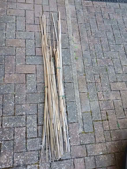 Photo of free Garden Canes (Woodstock OX20) #1