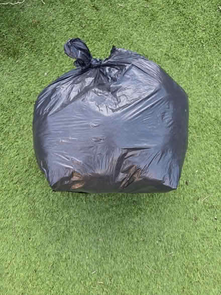 Photo of free Stuffing (Rayleigh SS6) #2