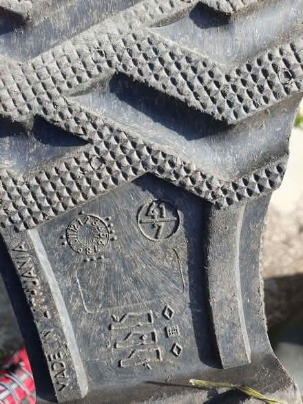 Photo of free Wellies (Abbeydale GL4) #2