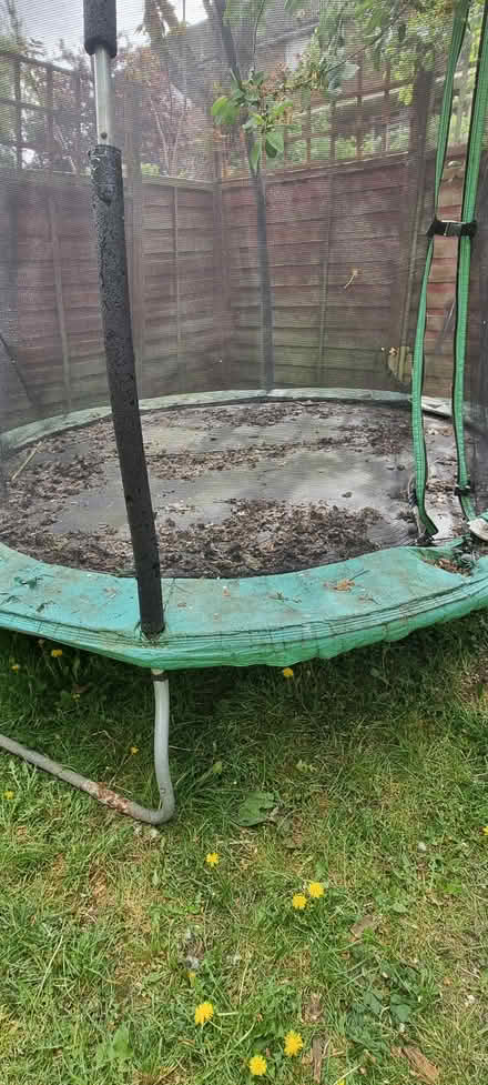 Photo of free Trampoline foe garden (Stoke Newington N16) #1