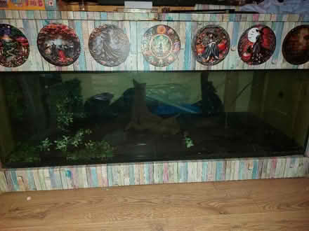 Photo of free 6ft fish tank (Redditch B98) #2