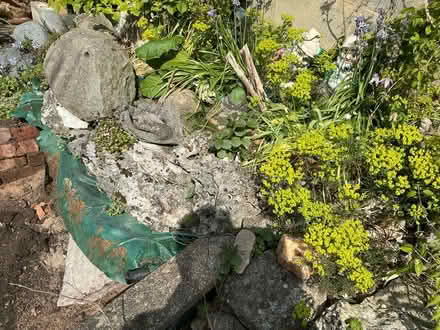 Photo of free Rockery stones (Liverpool 13 /Stoneycroft) #2