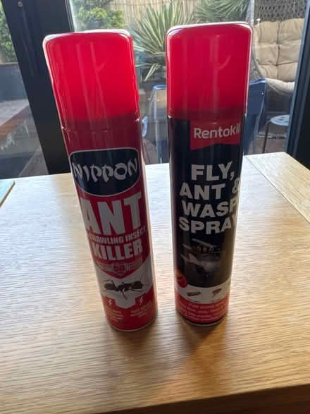 Photo of free Ant & fly spray (Hove BN3) #1