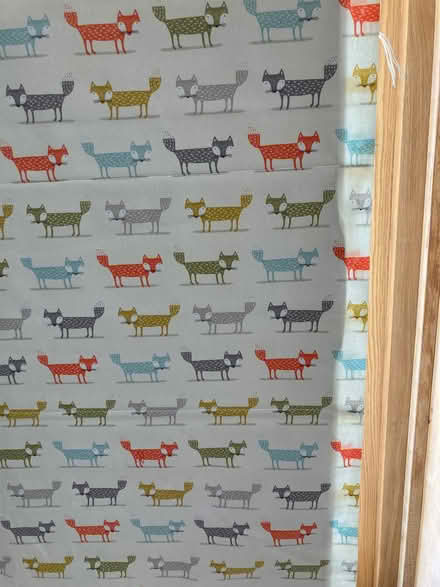 Photo of free Roman Blind 120cm x 173 (Ecton CP NN6) #3