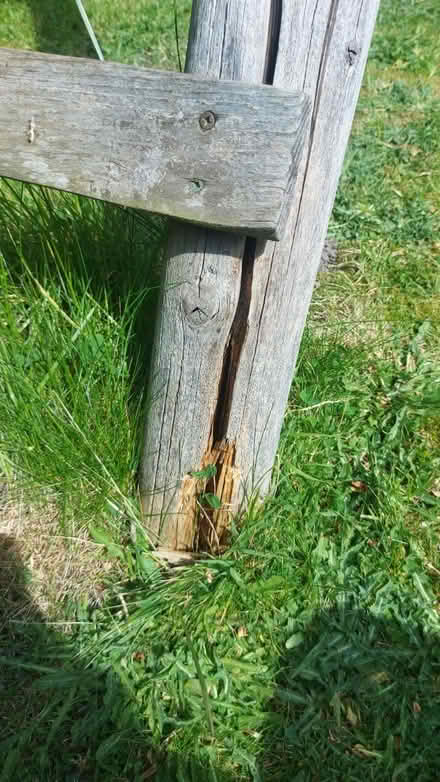 Photo of free Large slide (NG13 Granby) #4