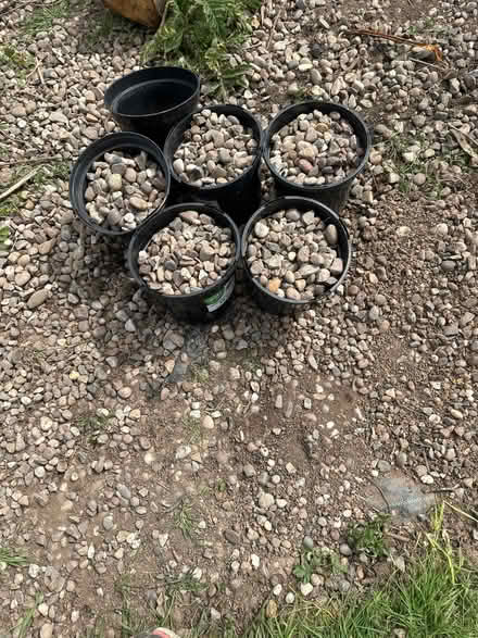 Photo of free Landscape rocks (Kenilworth CV8) #1