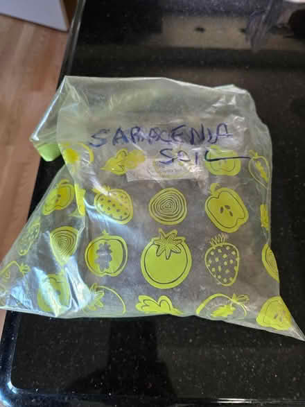 Photo of free small bag of saracenia soil (Vanier north) #1