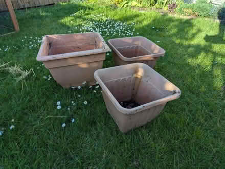 Photo of free Square Plant pots (Ashton Vale BS3) #1