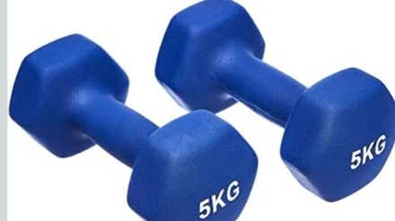 Photo of free 2 set of dumbbells (7kg and 5kg) (Kensington Gardens W2) #1