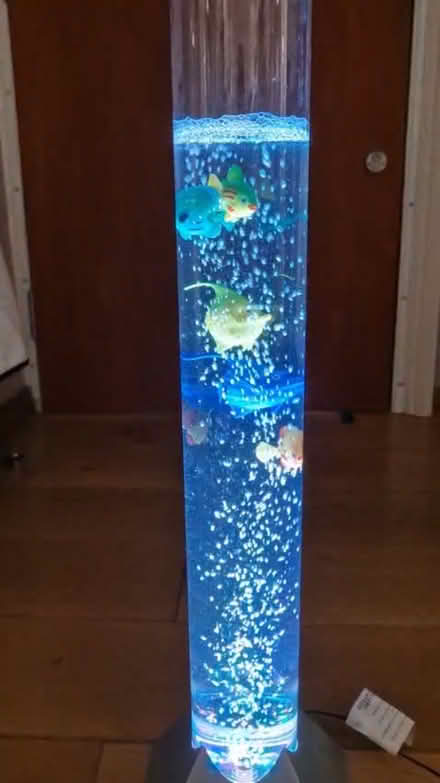 Photo of free Colour-Change Bubble Lamp with Fish (Hendon, London NW4) #1
