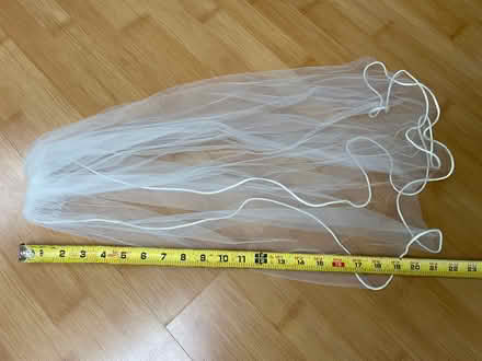 Photo of free Single layer veil (Sunnyvale (Wolfe)) #1
