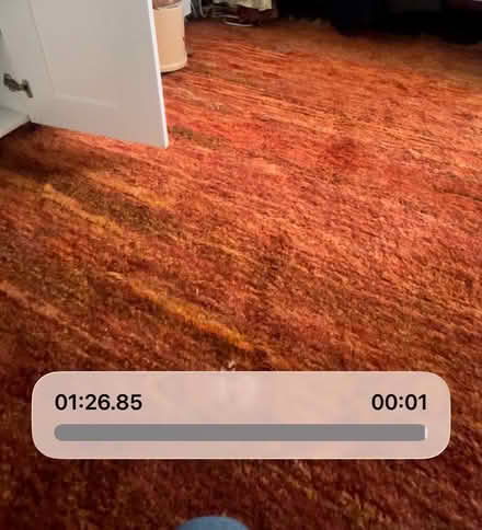 Photo of free Gabbeh Rug (San Francisco Inner Richmond) #1