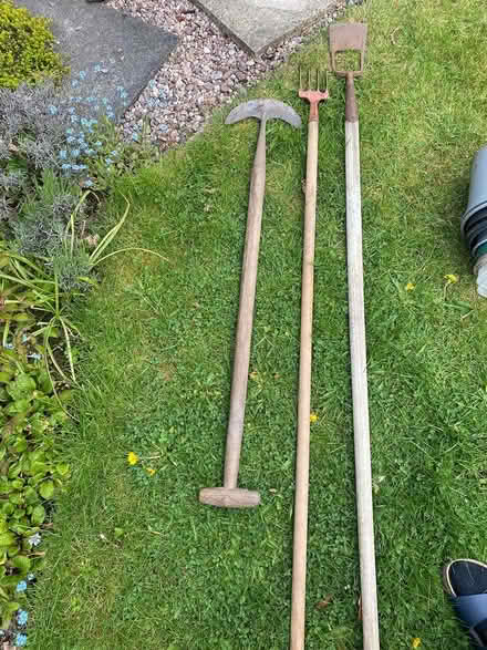 Photo of free Garden items (Knutsford north) #2