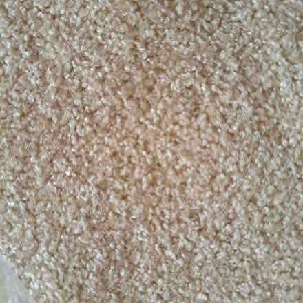 Photo of free Sand (pale gold) Chenille furnishing fabric (Charminster BH8) #1