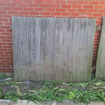Photo of free Used fence panels (Hounslow Central) #1