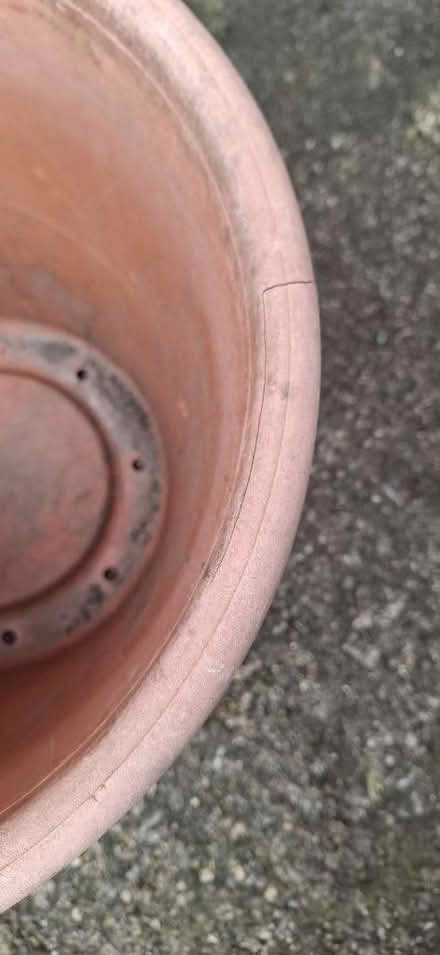 Photo of free Large plastic plant pots (Harrogate HG1) #4