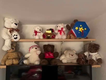 Photo of free Teddy Bear collection (Abington, near Library) #1