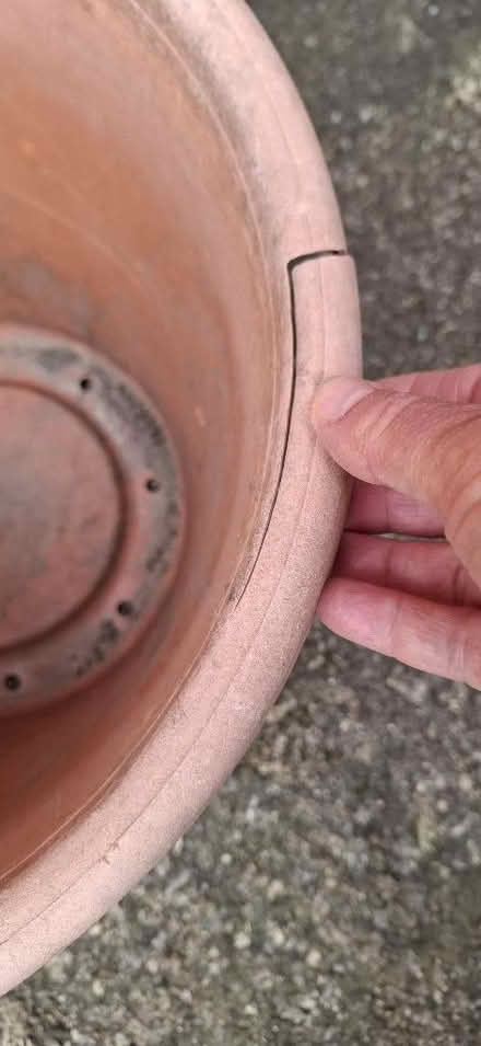 Photo of free Large plastic plant pots (Harrogate HG1) #3