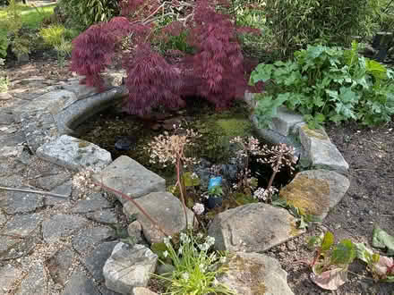 Photo of pond pump (Burnham SL1) #1