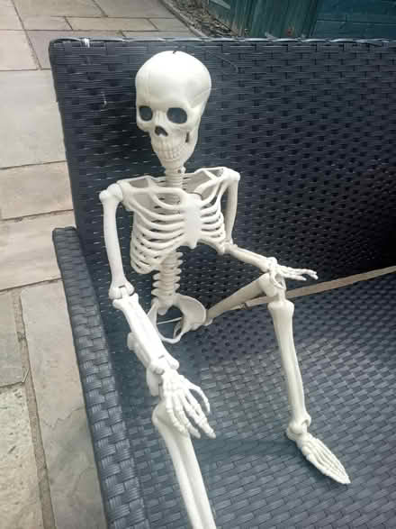 Photo of free Fully posable skelleton (MK42) #1