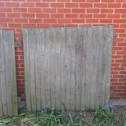 Photo of free Used fence panels (Hounslow Central) #2