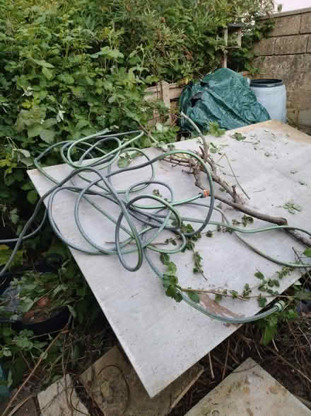 Photo of free Hose (CT2) #1