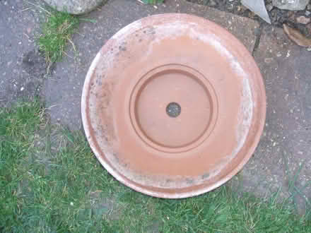 Photo of free Small Garden Pot (Molesey KT8) #1